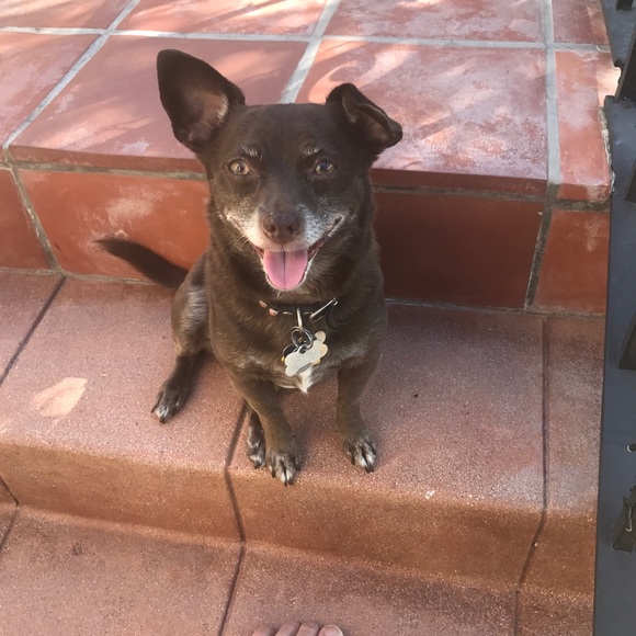 Meet your Posher, Taylor - Picture 1 of 1